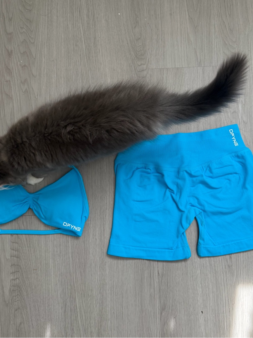 DFYNE Glacier Blue Impact Shorts and Sports Bra